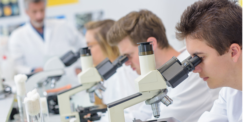 A photo of high school students using microscopes for a biology class for the careers in biology blog article demonstrating how an biology teacher is a potential career track with a bachelor's in biology degree from Saint Leo University 